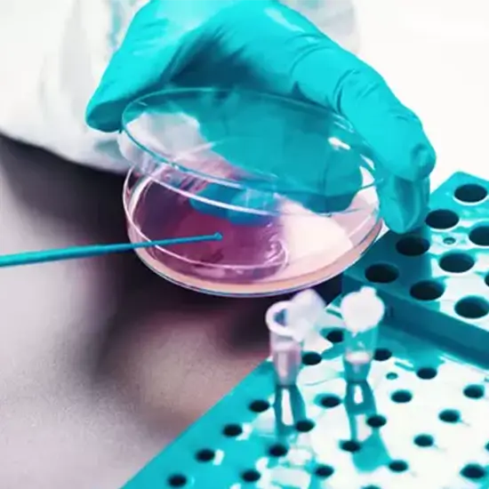 culture aerobic, ear swab test